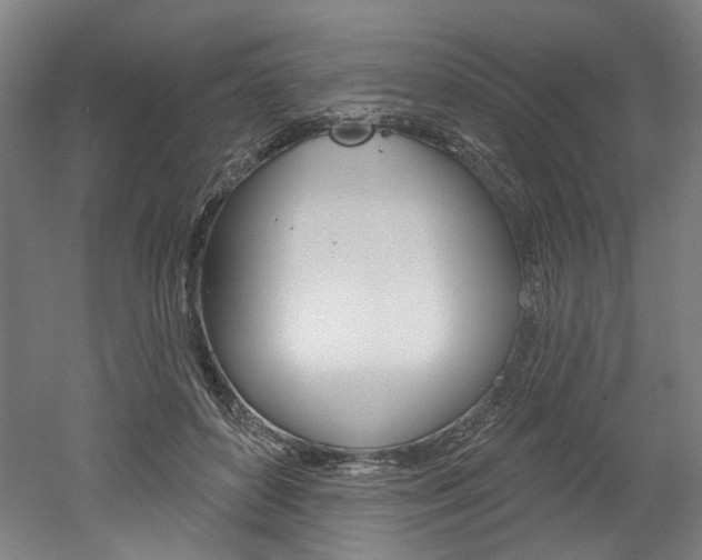 X0000052590504200507010943