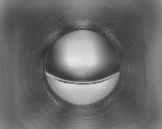 X0000052590505200507010943