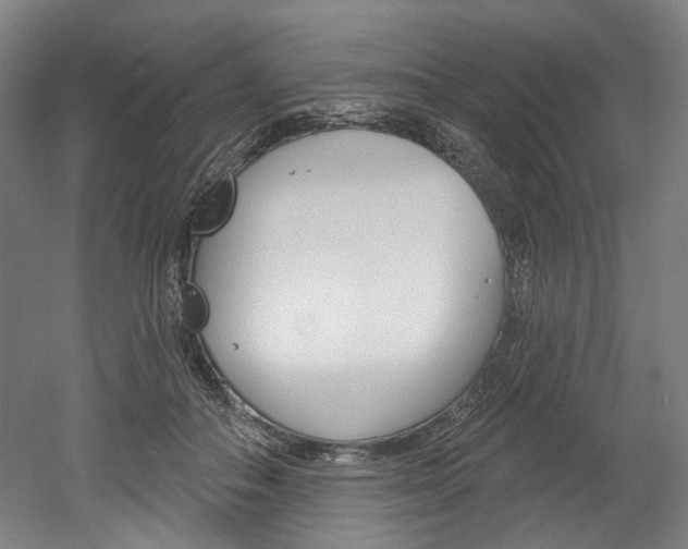 X0000052590506200507010943