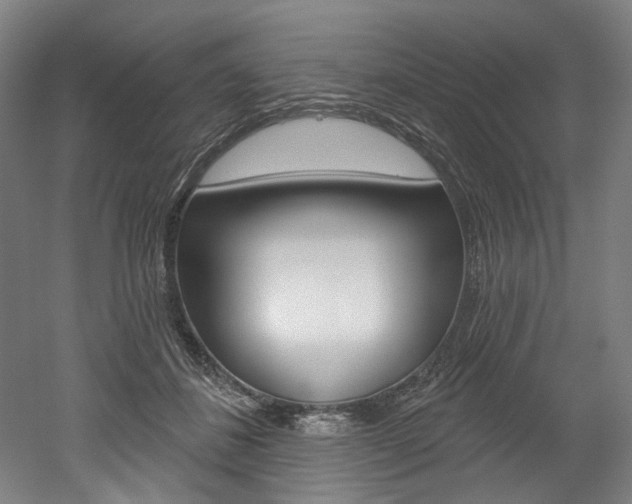 X0000052590508200507010943