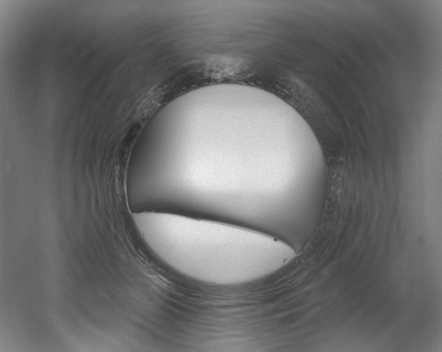 X0000052590510200507010943