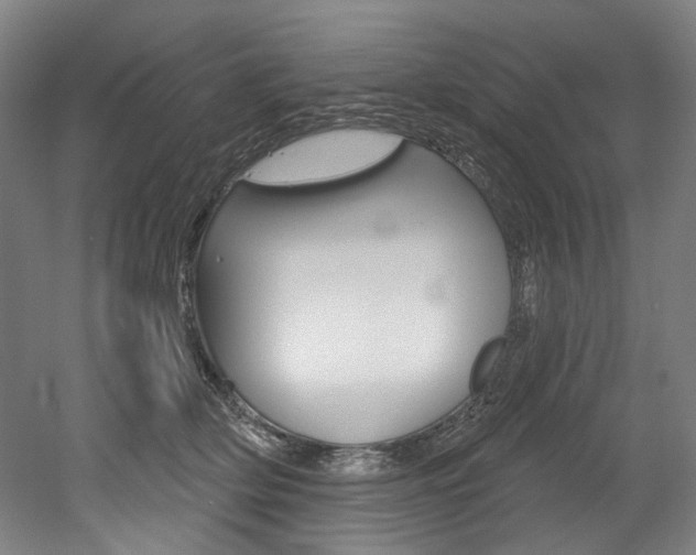 X0000052590514200507010943