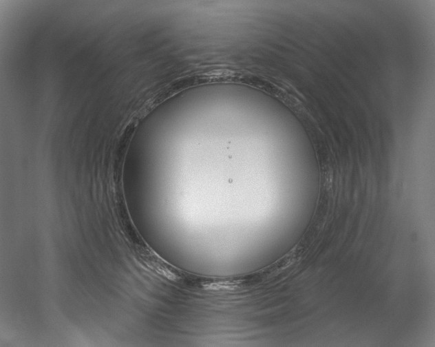 X0000052590516200507010943