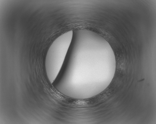X0000052590518200507010943