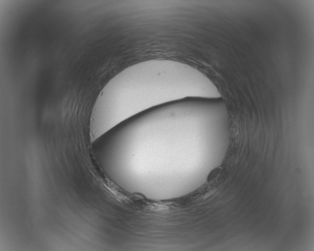 X0000052590523200507010943