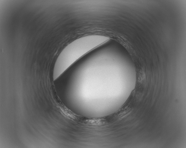 X0000052590524200507010943