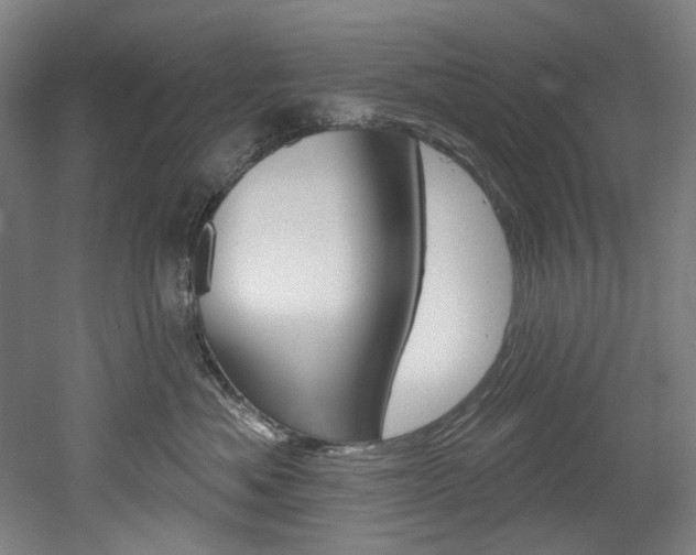 X0000052590525200507010943