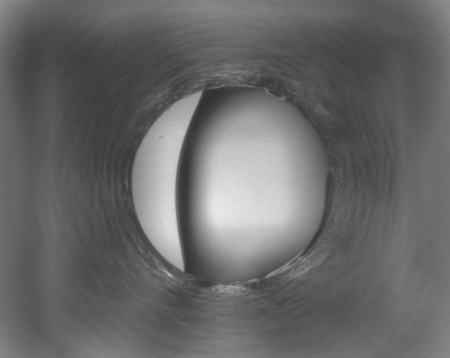 X0000052590528200507010943