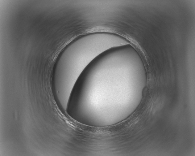 X0000052590529200507010942
