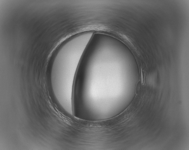 X0000052590531200507010942
