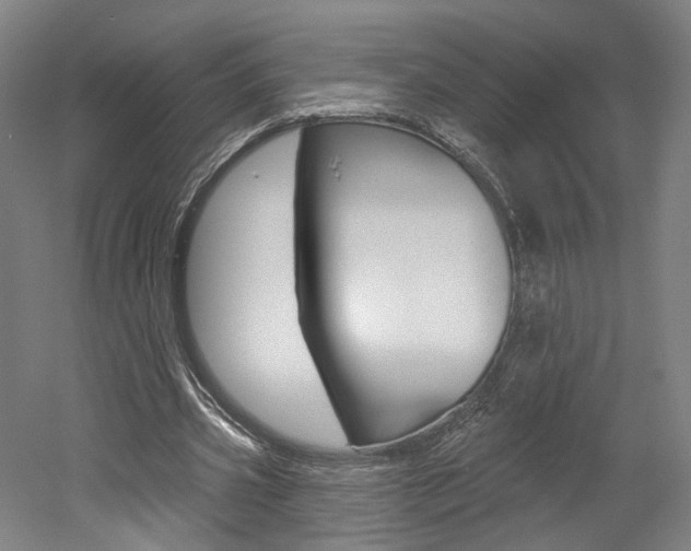X0000052590533200507010942