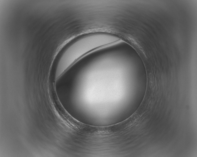 X0000052590536200507010942