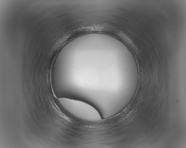 X0000052590537200507010942