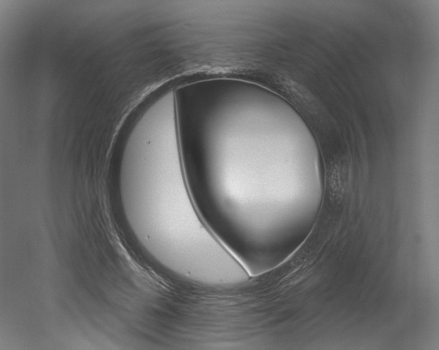 X0000052590540200507010942