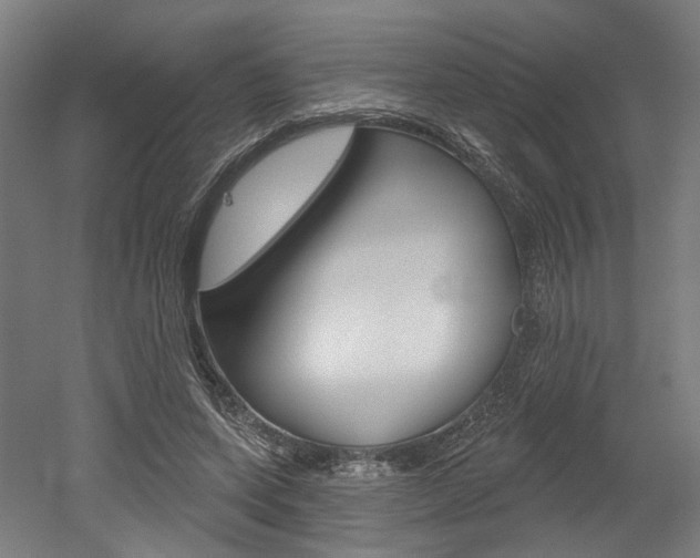 X0000052590543200507010942