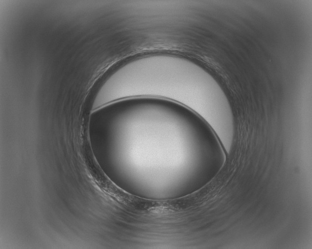 X0000052590544200507010942