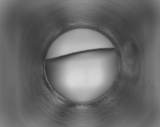X0000052590545200507010942