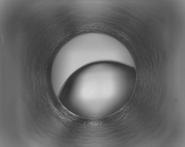 X0000052590546200507010942