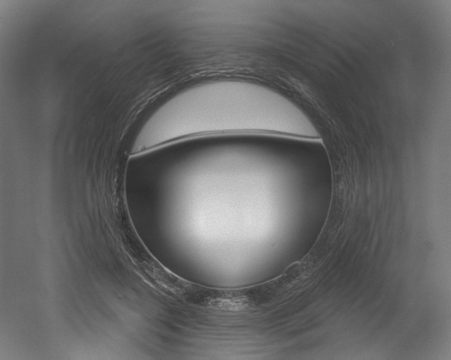X0000052590548200507010942