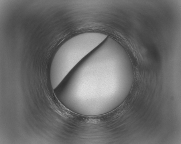 X0000052590549200507010942
