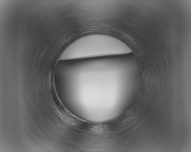 X0000052590550200507010942