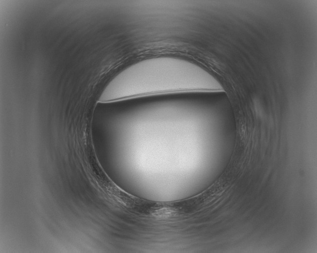 X0000052590551200507010942