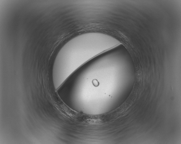 X0000052590552200507010942