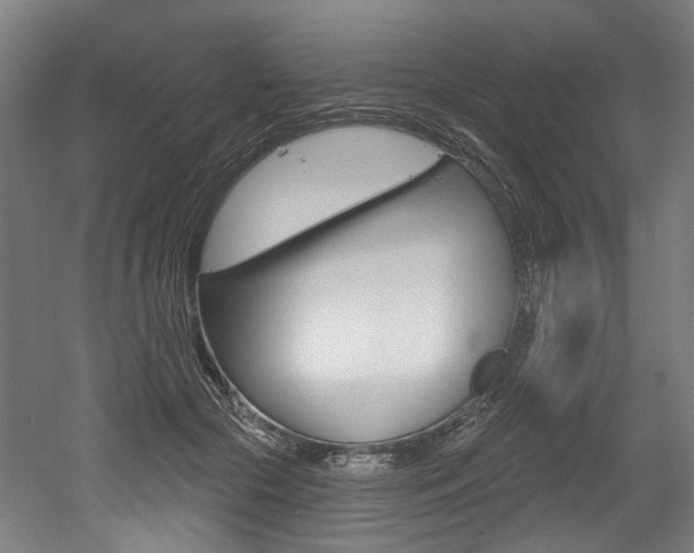 X0000052590553200507010942