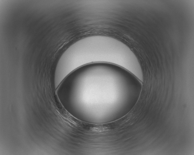 X0000052590556200507010942