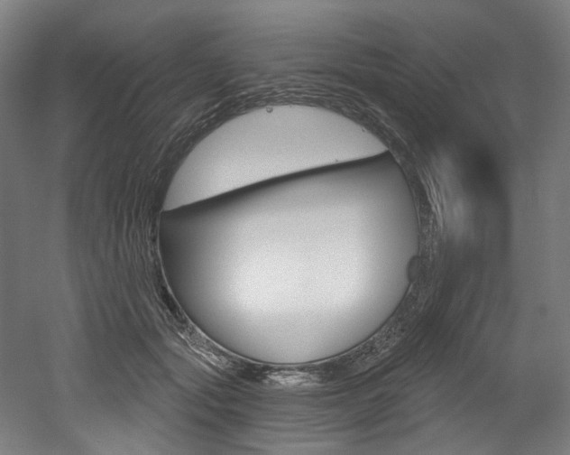 X0000052590557200507010942