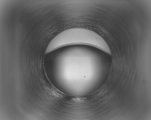 X0000052590558200507010942