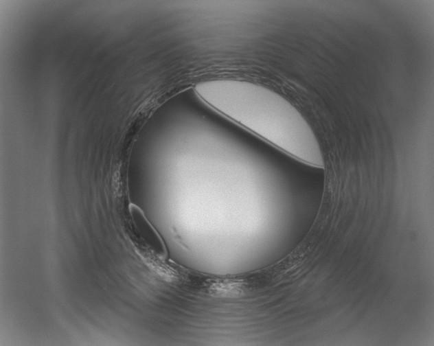 X0000052590560200507010942