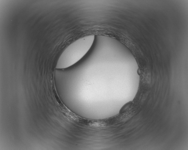 X0000052590561200507010942