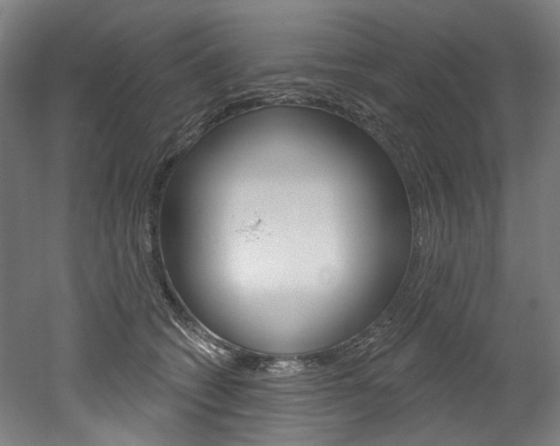 X0000052590562200507010942