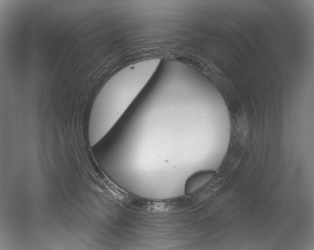 X0000052590565200507010942