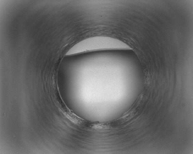 X0000052590568200507010942