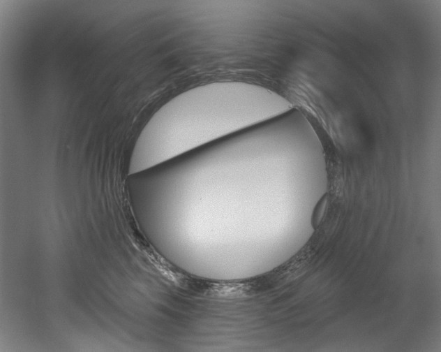 X0000052590569200507010942