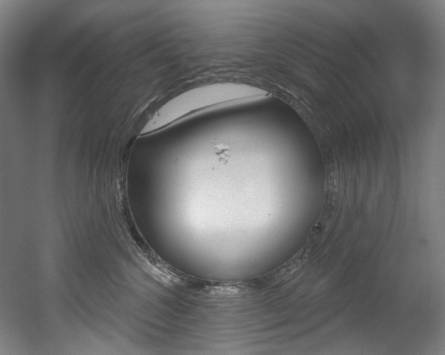 X0000052590572200507010942