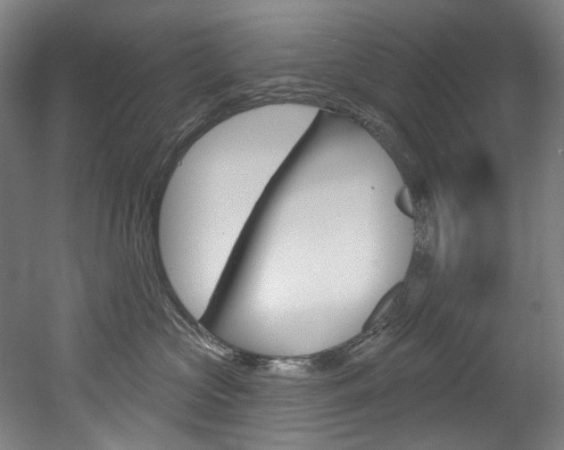 X0000052590573200507010942