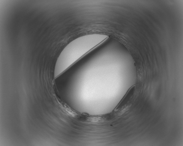 X0000052590575200507010943