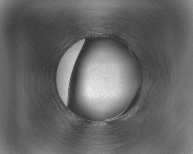 X0000052590576200507010943