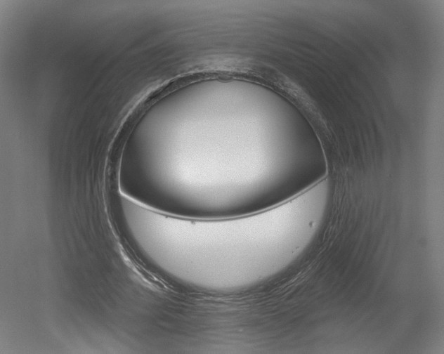 X0000052590580200507010942