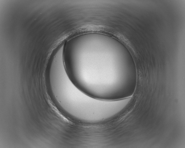 X0000052590581200507010942
