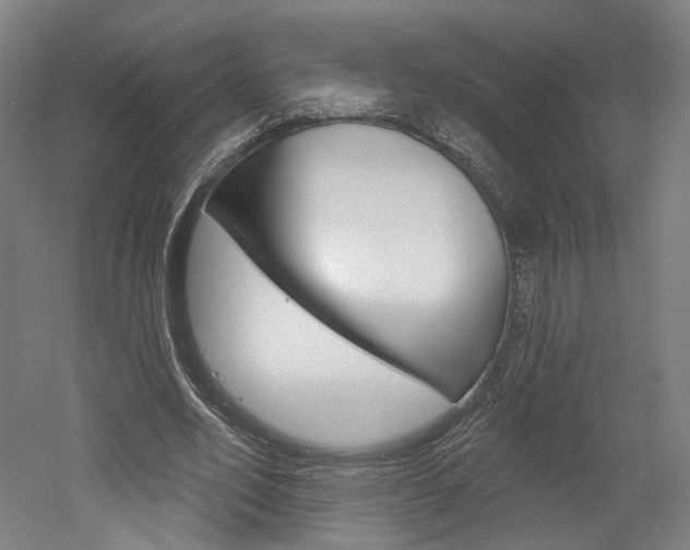 X0000052590582200507010942