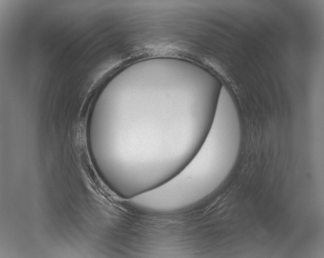 X0000052590583200507010942