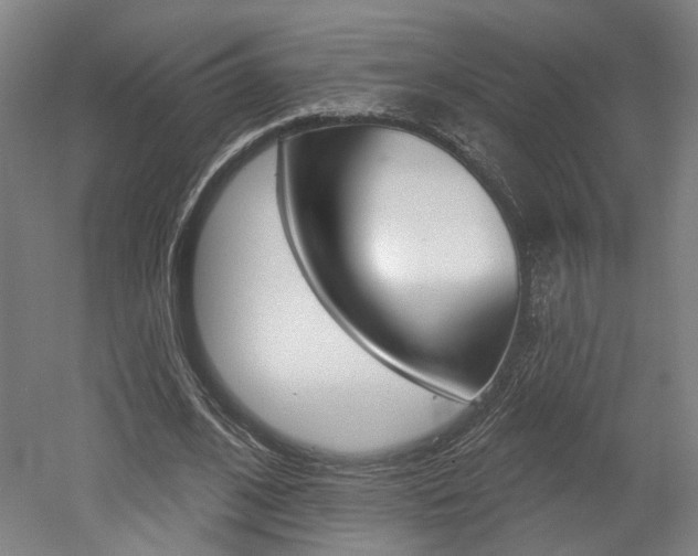 X0000052590584200507010942