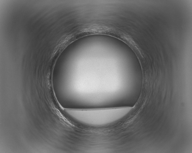 X0000052590585200507010942