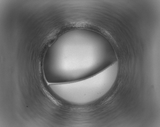 X0000052590589200507010942