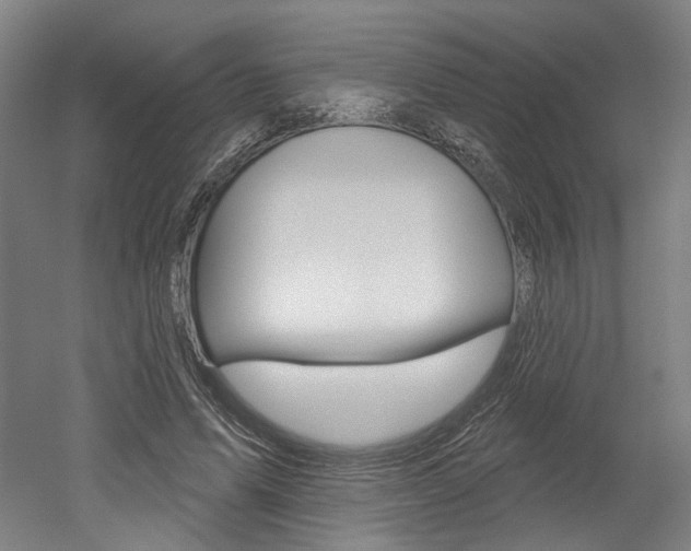 X0000052590591200507010941