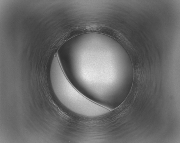 X0000052590593200507010941